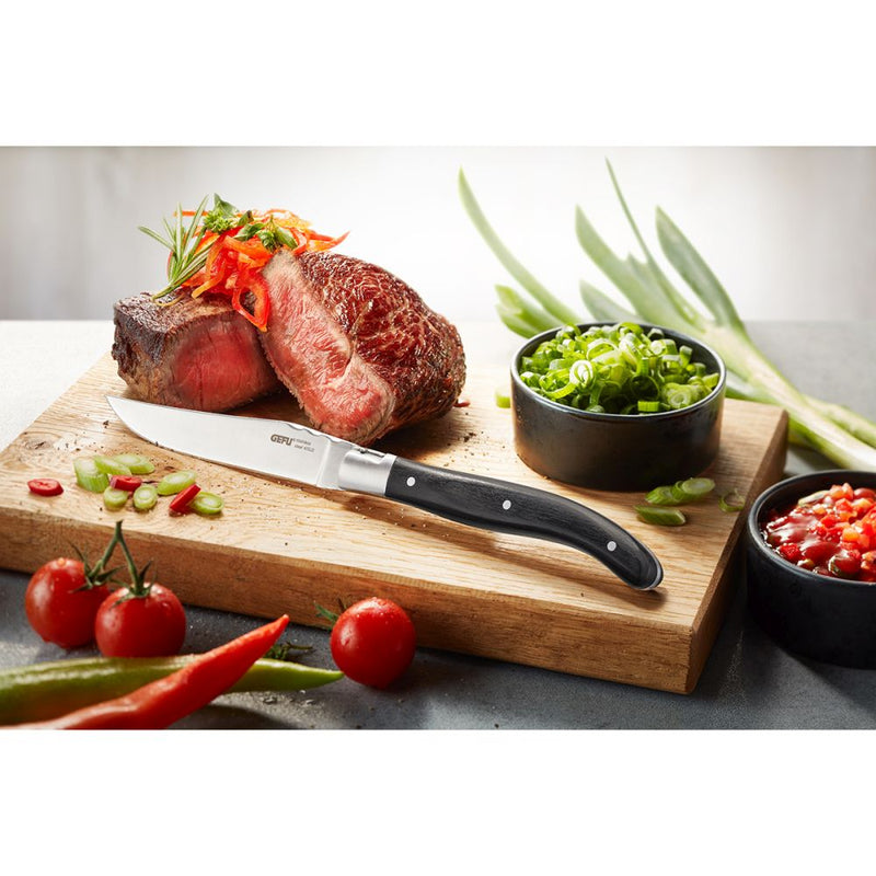 Set de 4 Cuchillos para Carne Modelo Rancho - GEFU - Image 3