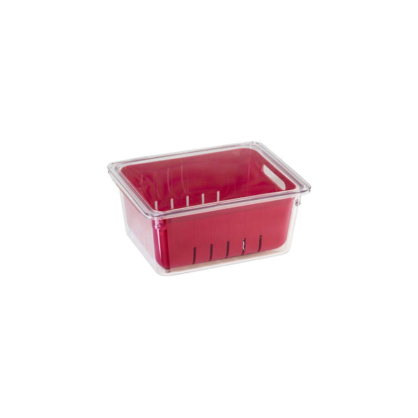Recipiente con Colador para Berries Color Rojo - OGGI - Secondary