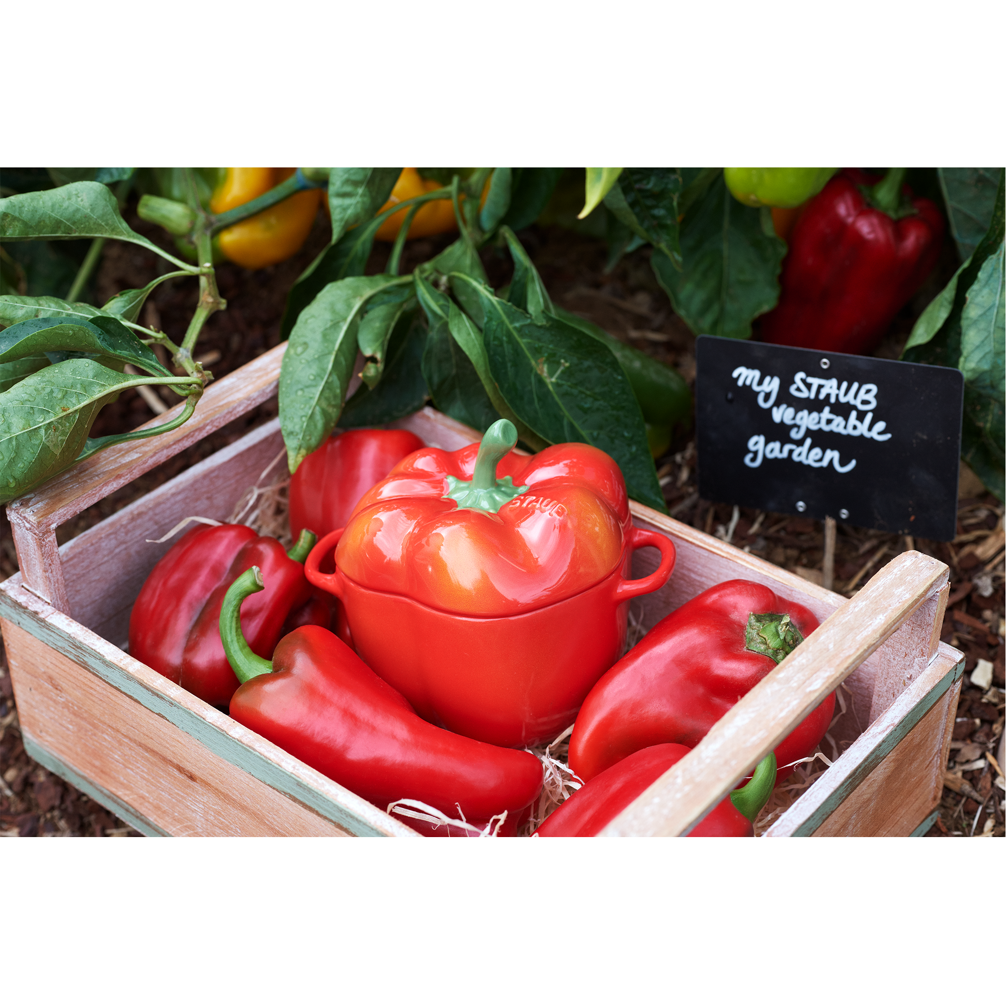 Cocotte Pimiento 0.45 Lts de Cerámica 12cm Color Rojo Anaranjado - STAUB - Gallery 3