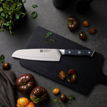 Cuchillo Santoku 18cm Modelo Spectrum - ZWILLING - Thumbnail 3