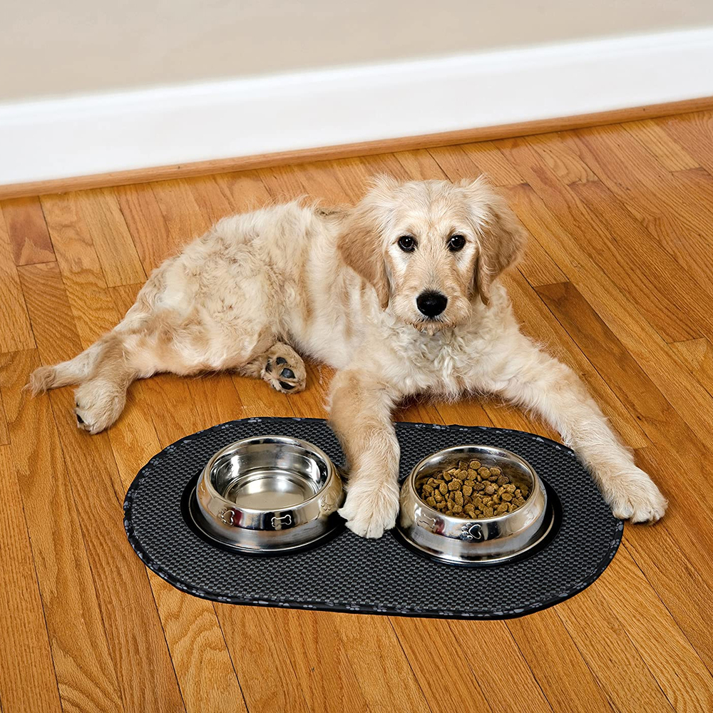 Accesorios Para Perros Set Productos Para Mascotas Alimentos Rayar